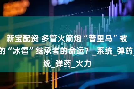 新宝配资 多管火箭炮“普里马”被遗忘的“冰雹”继承者的命运？_系统_弹药_火力