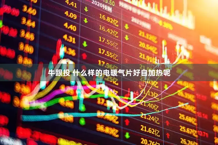 牛跟投 什么样的电暖气片好自加热呢
