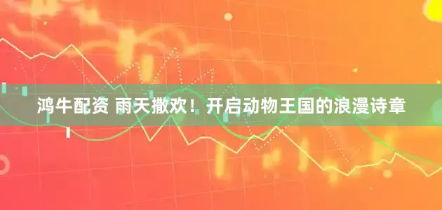 鸿牛配资 雨天撒欢！开启动物王国的浪漫诗章